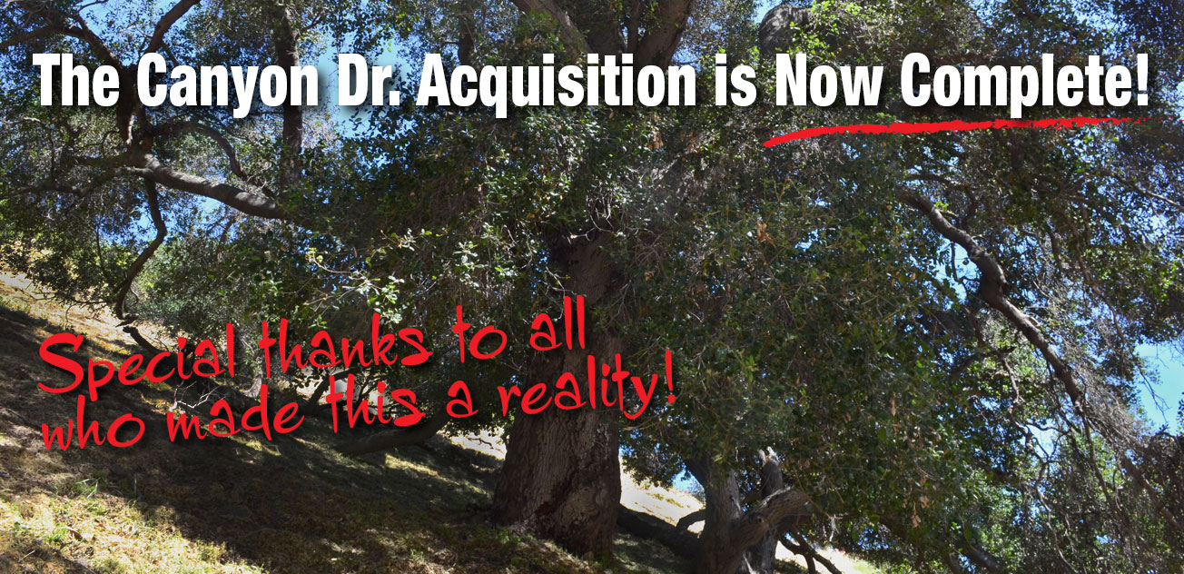 Growing Griffith Park, One Conservation Opportunity at a Time