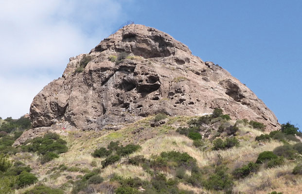Restoring Bee Rock Trail