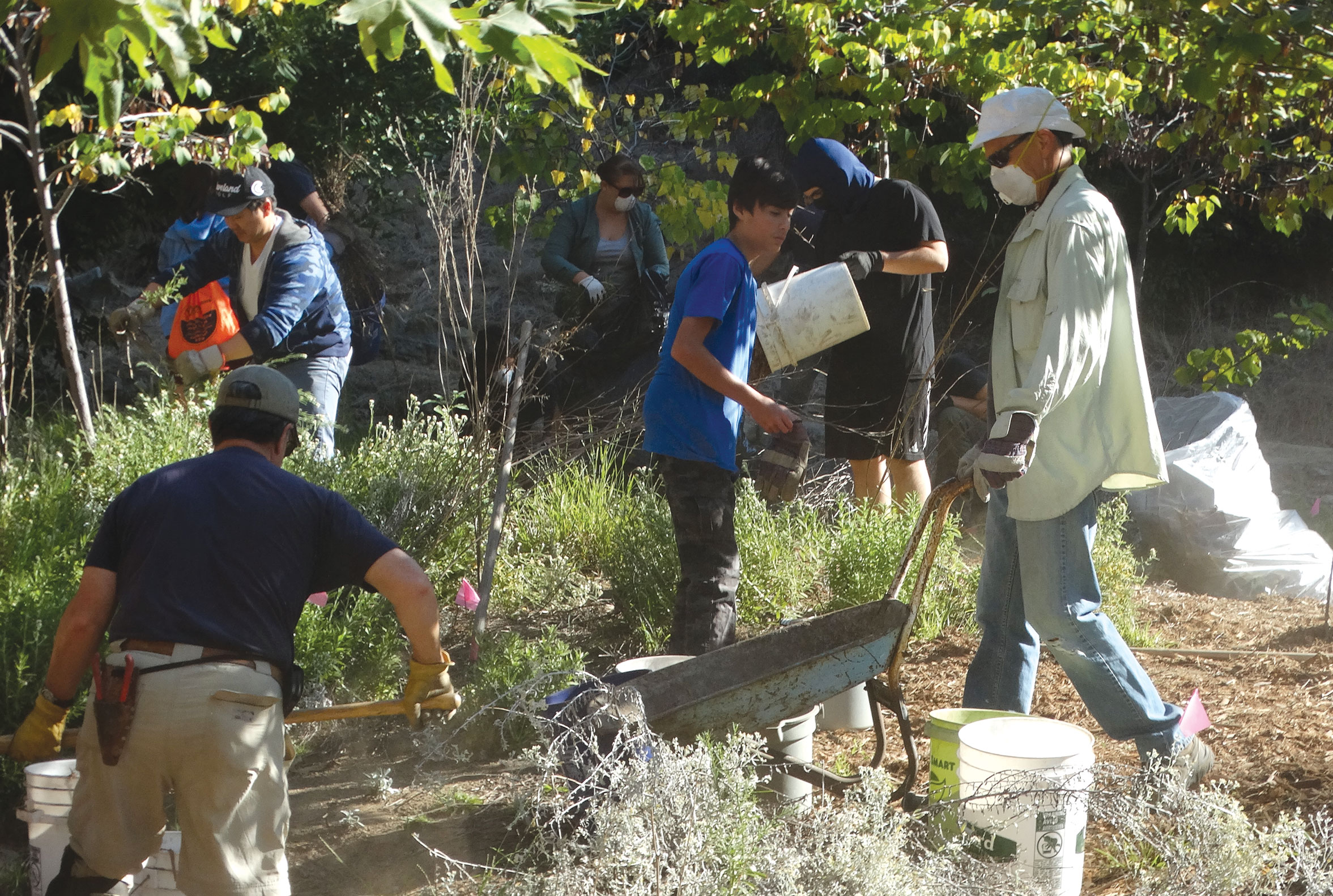 A Bird-Friendly Landscape, A Human Refuge