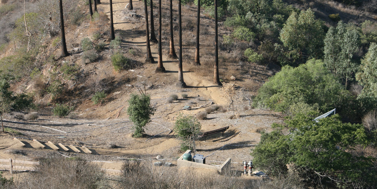 Folk Gardens in Griffith Park and Remembrances of the Captain