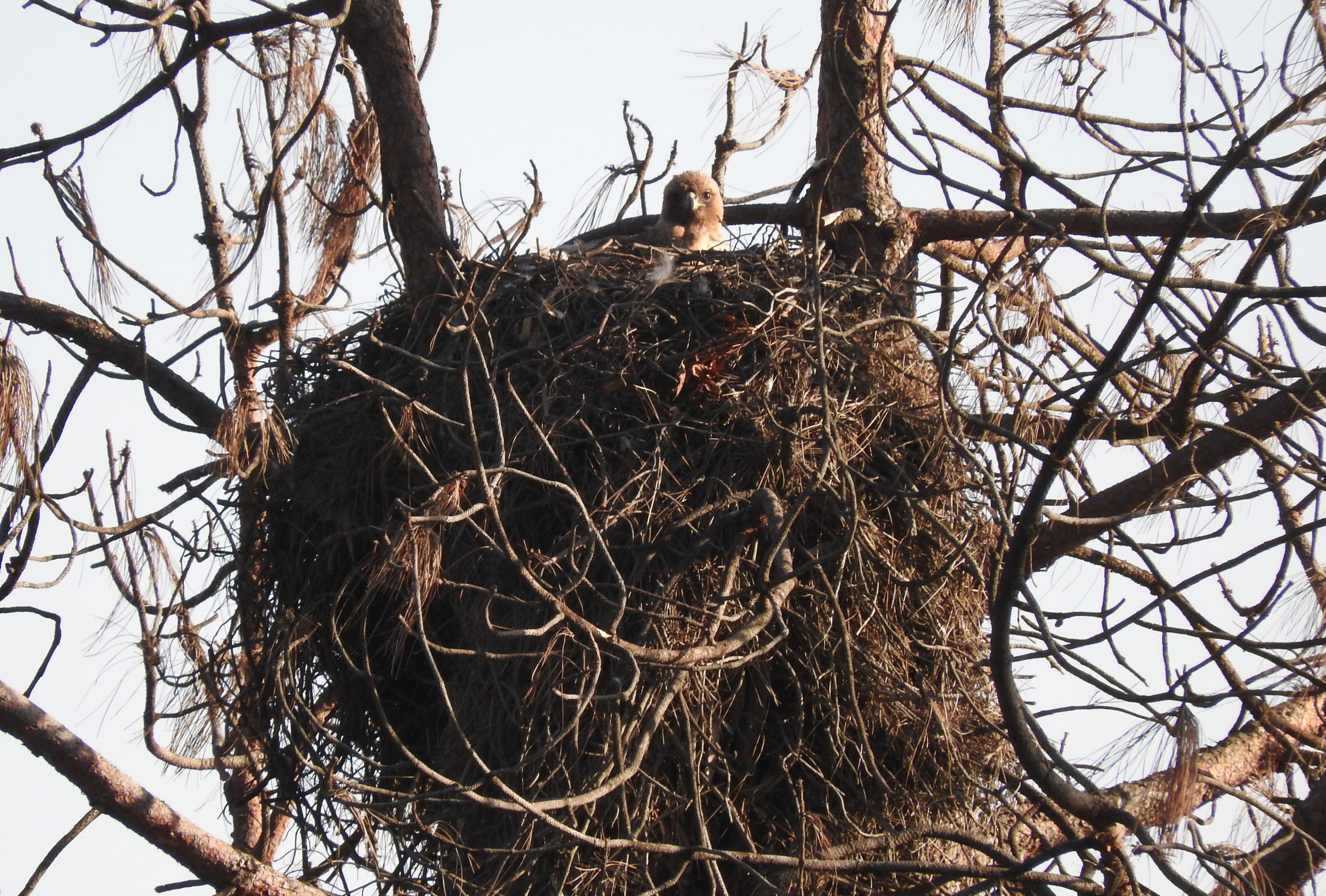 No Such Thing as a “Safe Poison”