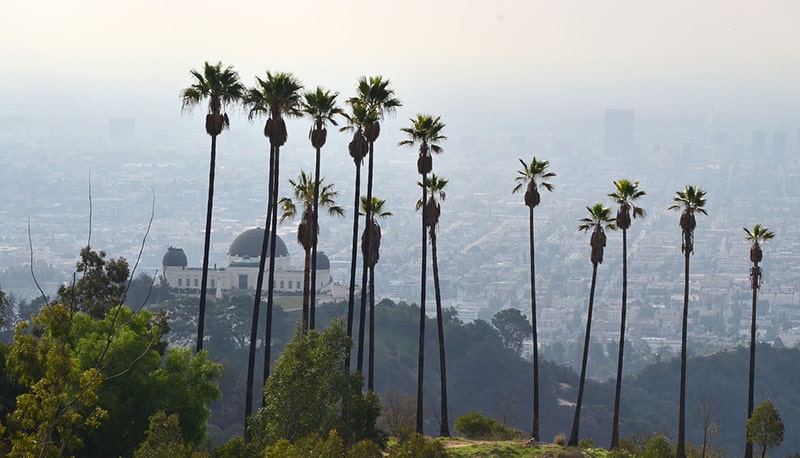 CAPTAINS-ROOST CAPTAINS-ROOST