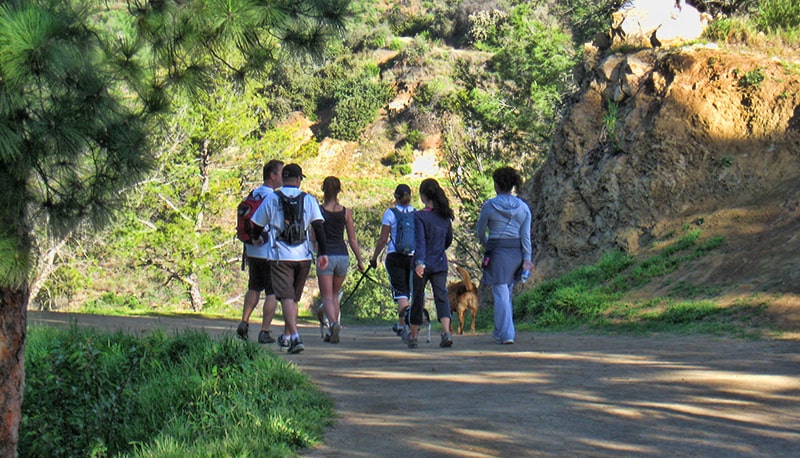 Hiking-trail Hiking-trail