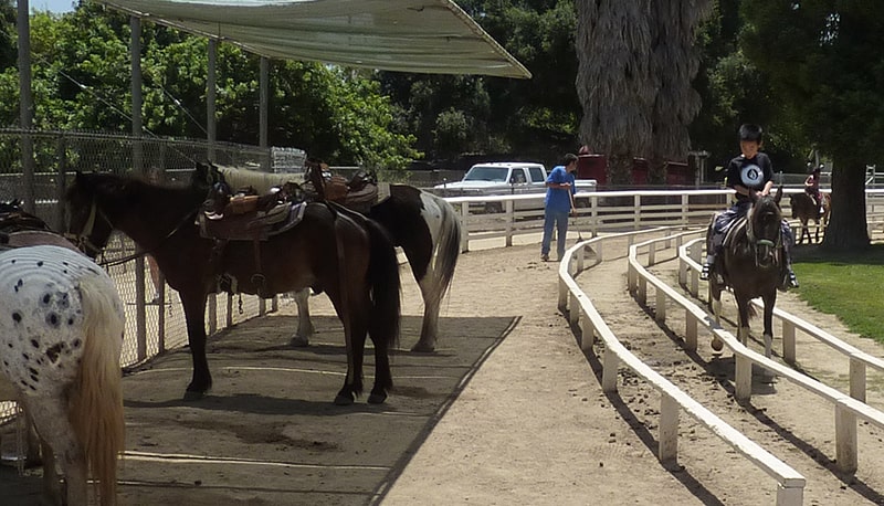 PoinyTrail PoinyTrail