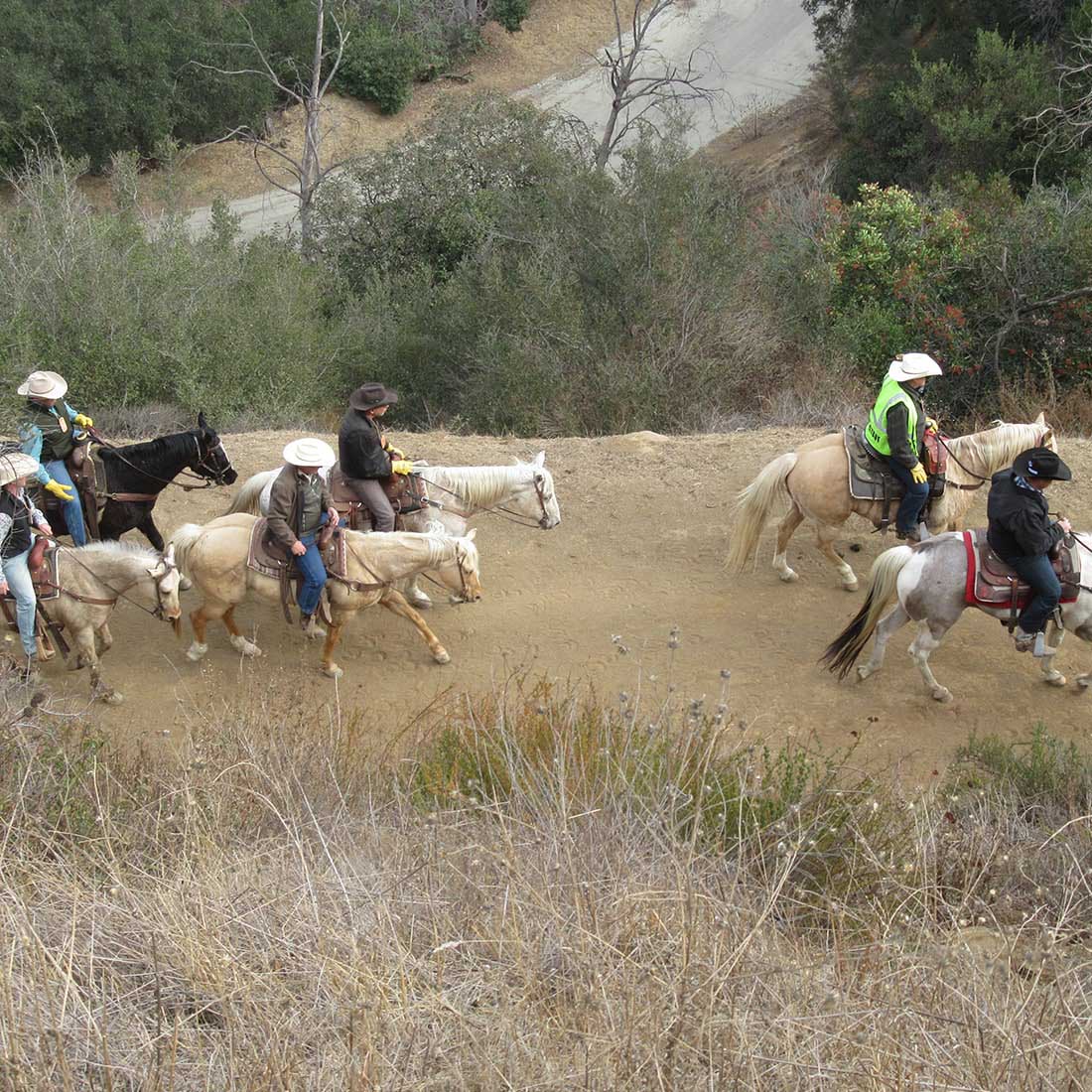 map-hike5-D Last horses