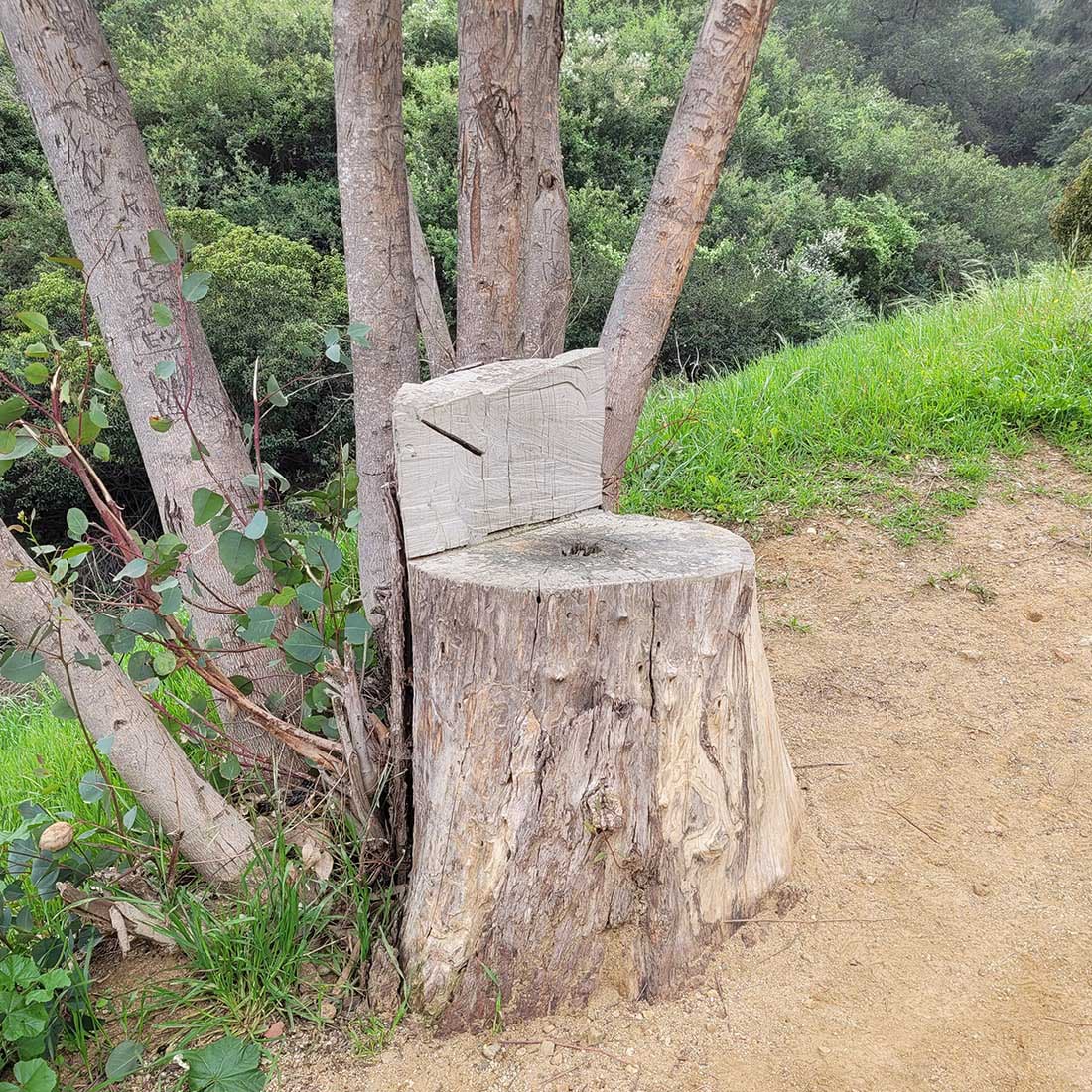 Stump chair on North Trail