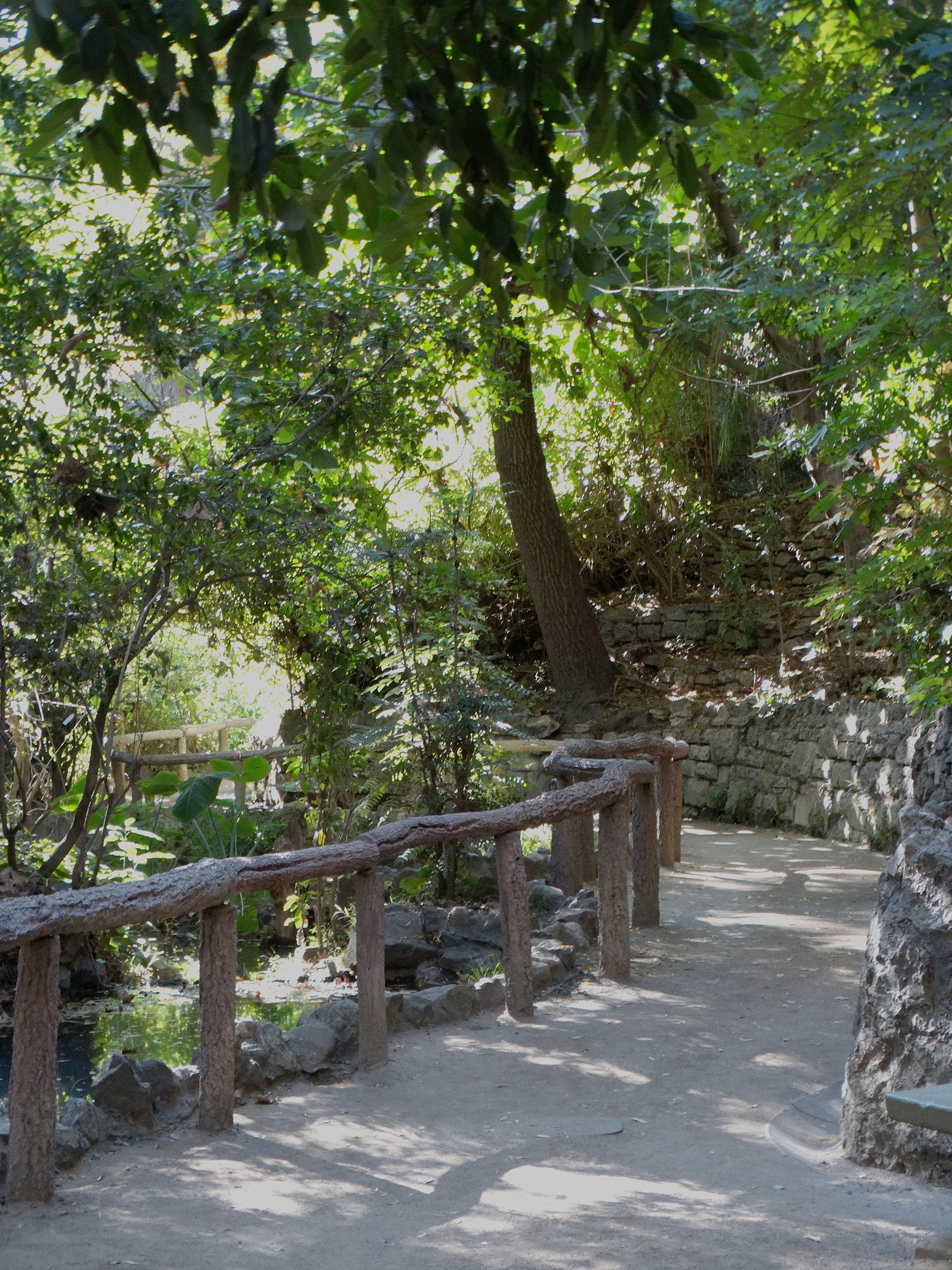 Walking the Fern Dell Stream