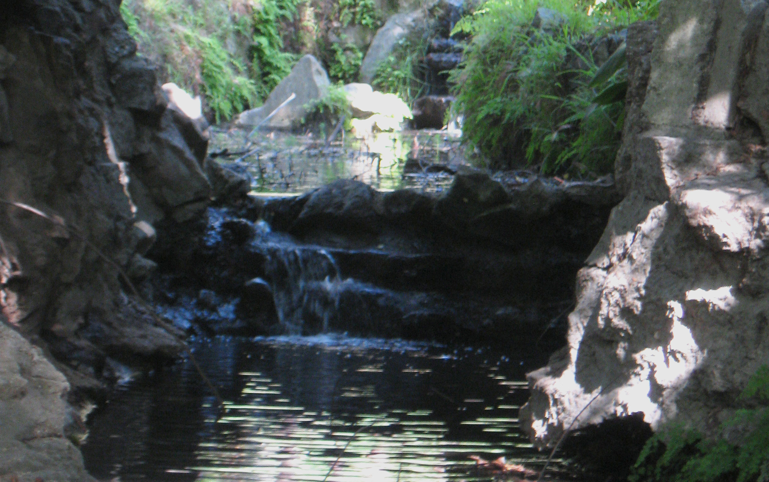 Sustainability? We Got That!