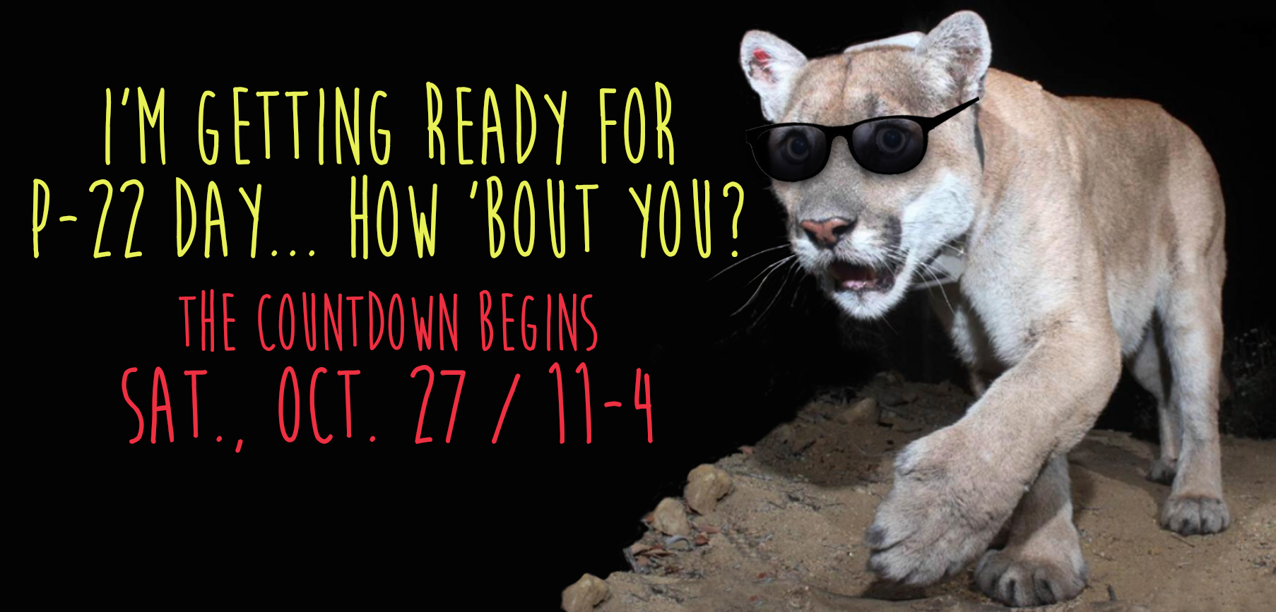 Celebrating P-22 Day, 2018