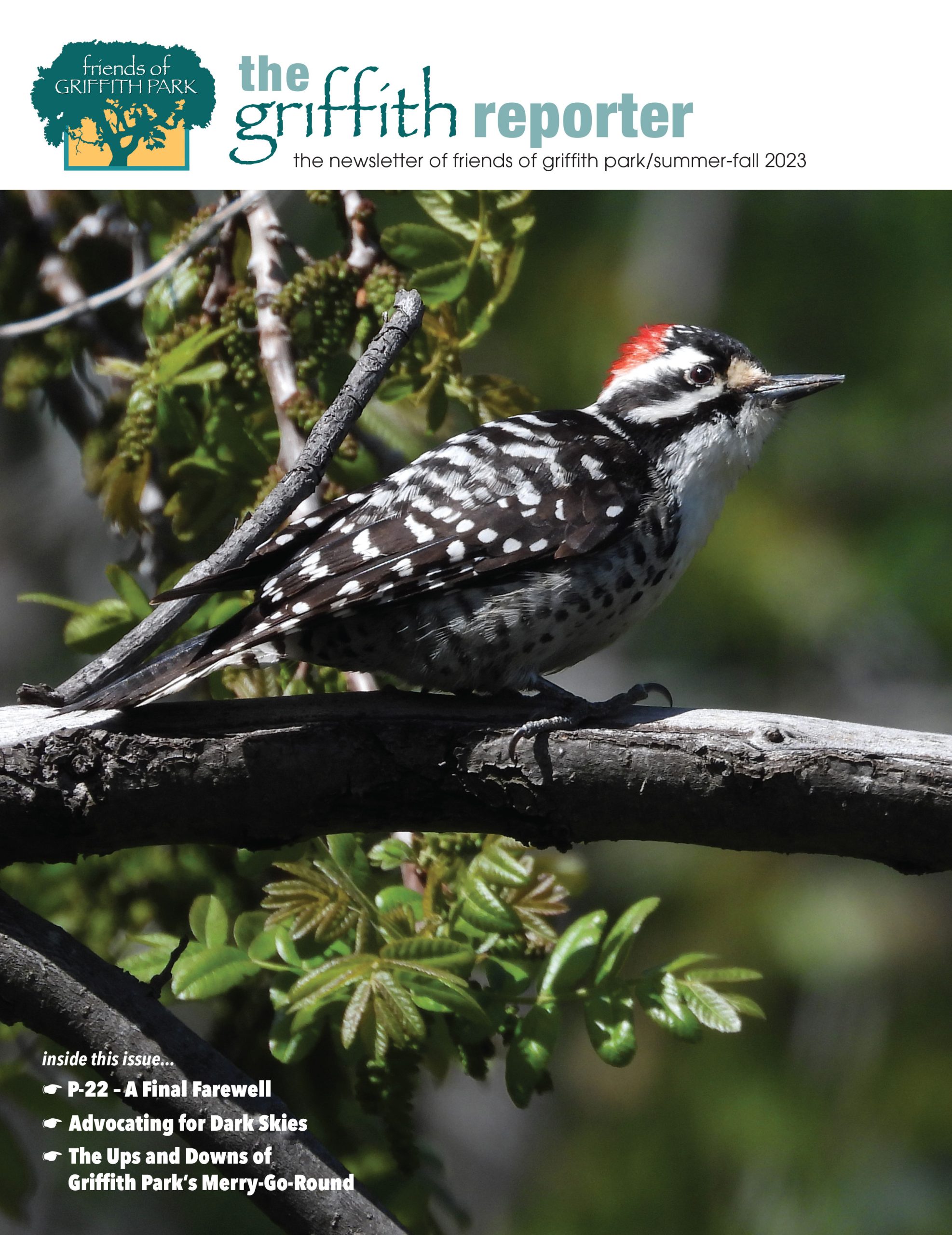 Spring-Summer 2023 Reporter