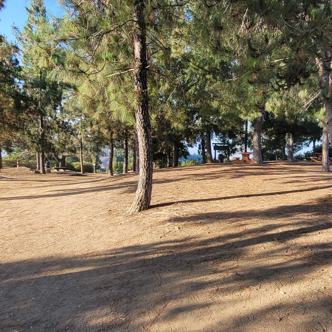 map-hike5-D 10D-Berlin-Forest