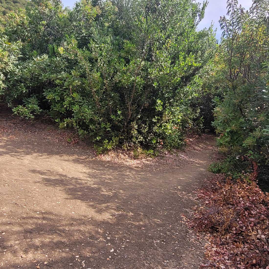 map-hike5-D 11H-Turn-Right-Here