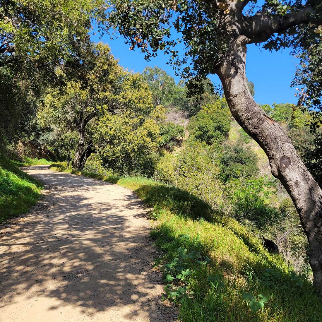 map-hike5-D 11I-Cadman-to-5-Points