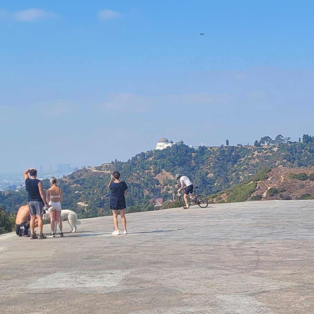 11M-Vista-View-Point