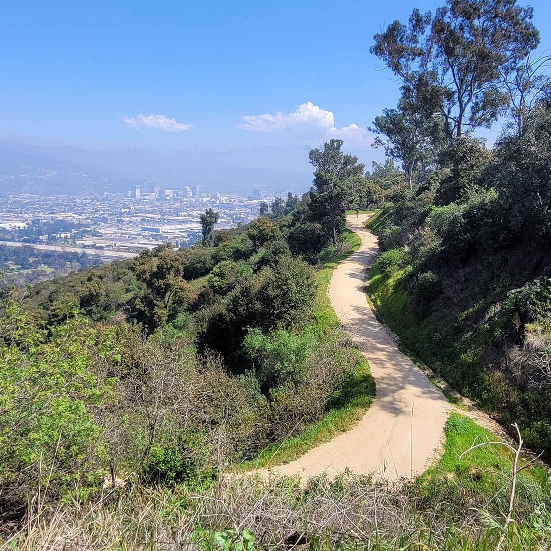 11R-Fern-Canyon-Trail