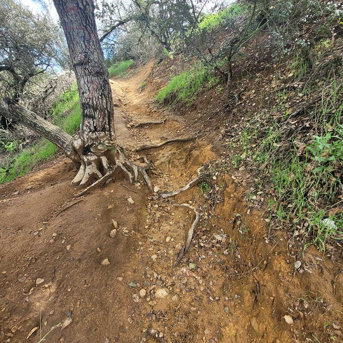 12L-Uphill-Trail