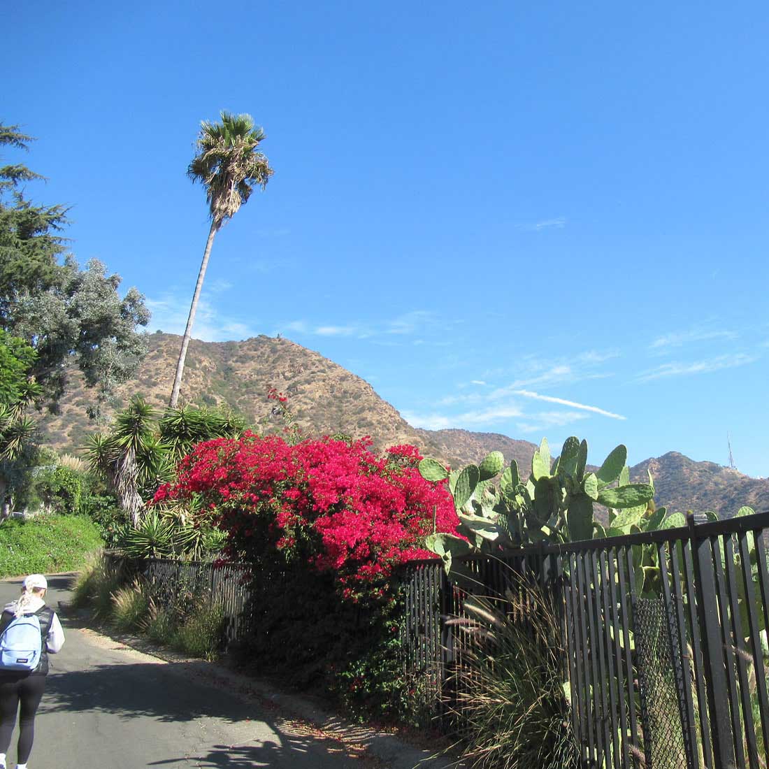 13A-Wonder-View-Dr-Uphill