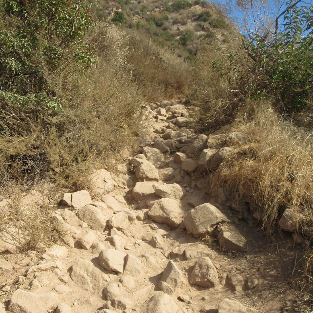 map-hike5-D 13D-Burbank-Peak-Trail