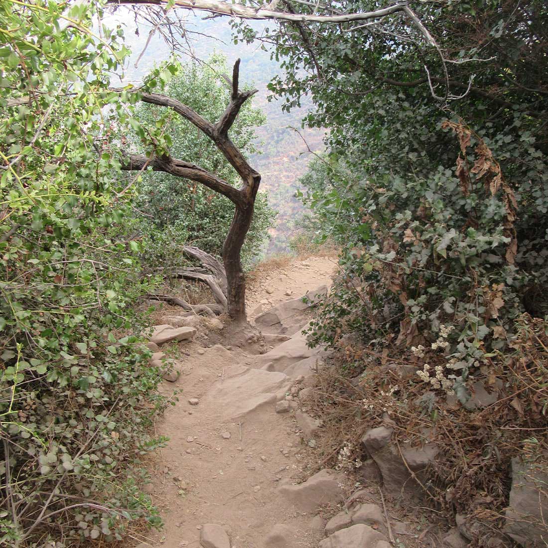 map-hike5-D 13I-Tree-Handhold