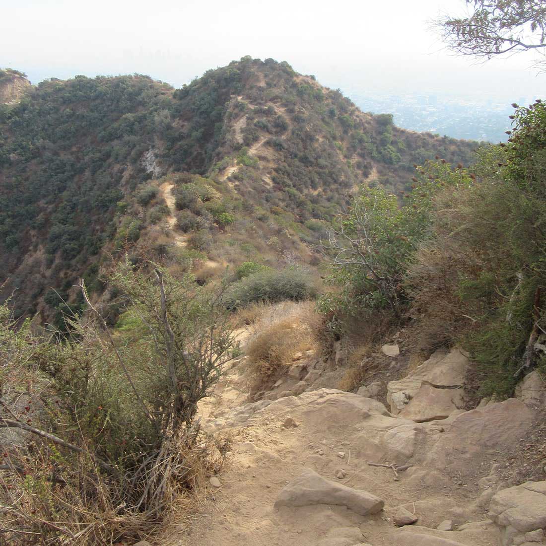 map-hike5-D 13J-Toward-MtLee