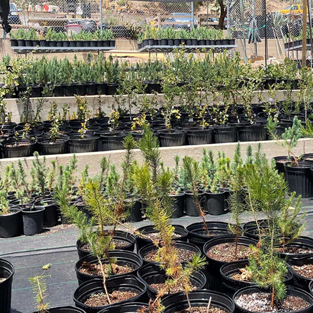 map-hike5-D 14E-Commonwealth-Nursery