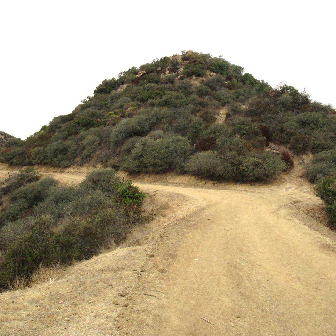 15M-Toward-Mt.-Hollywood-Dr.