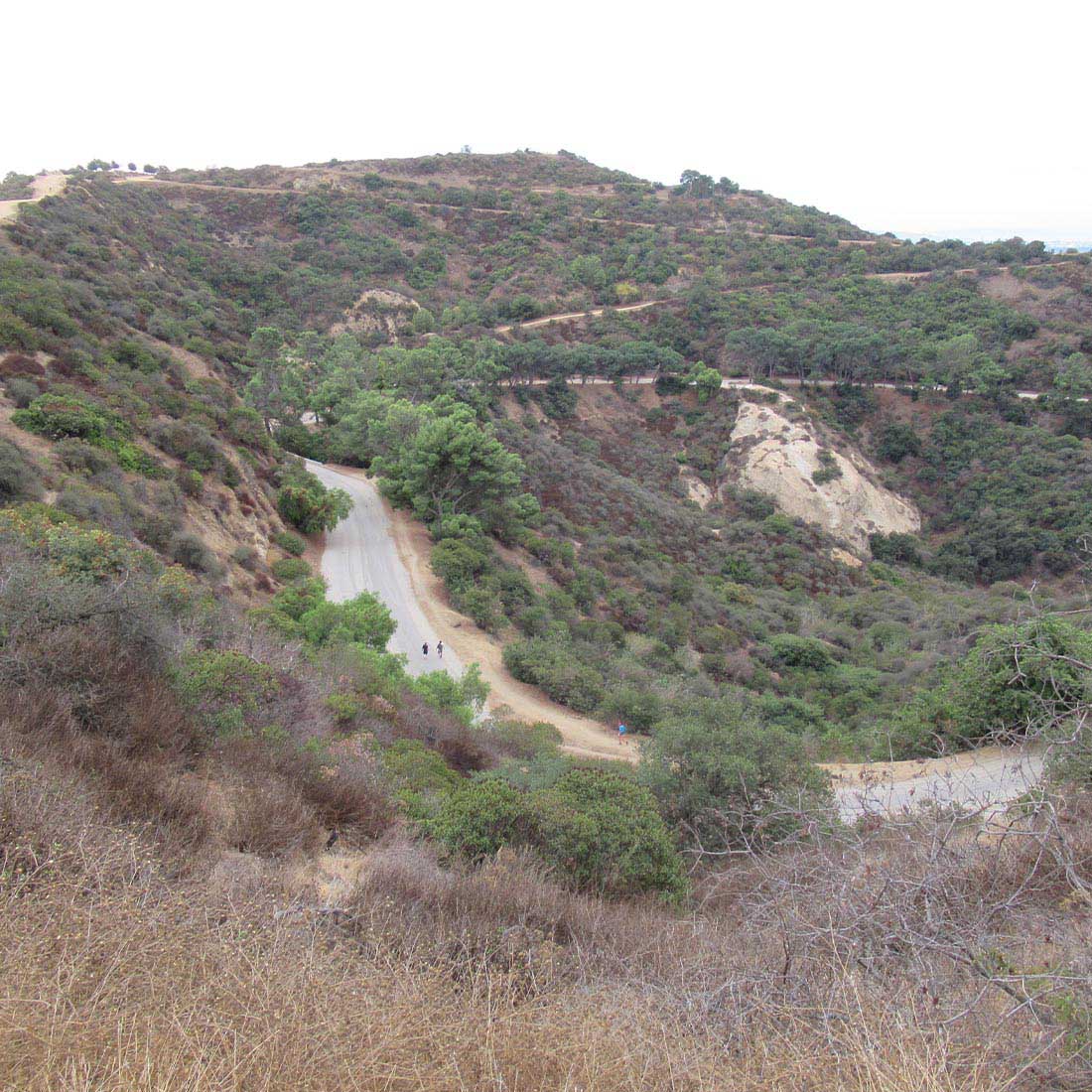 15N-View-South-to-3-Mile-Trail