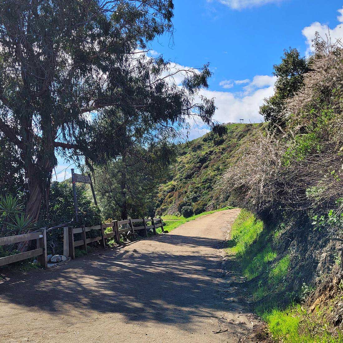 15W-Turnaround-from-Hogback