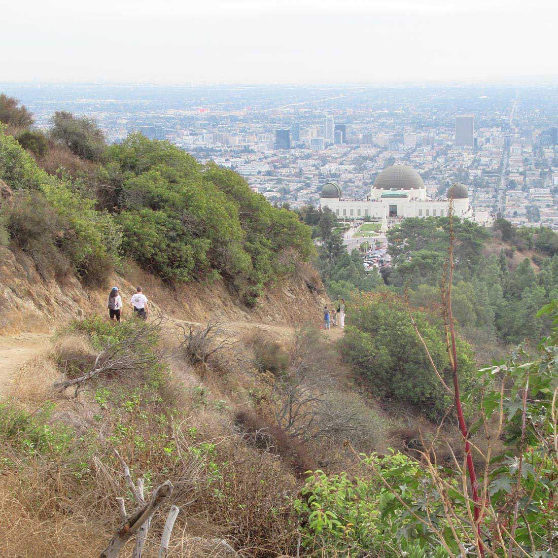 15X-Bird-Sanctuary-Trail