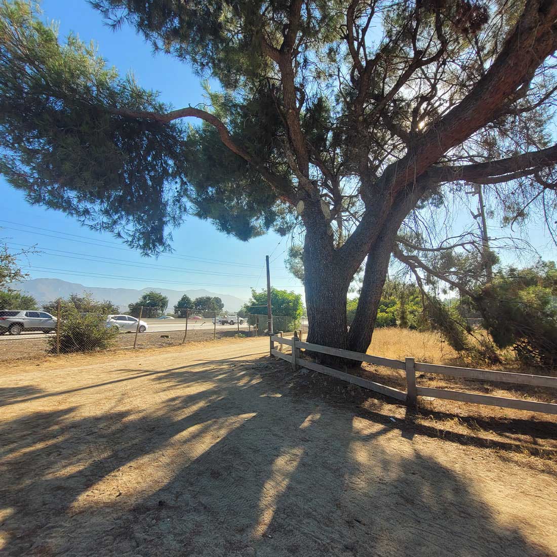 4C-Main-Trail-Junction