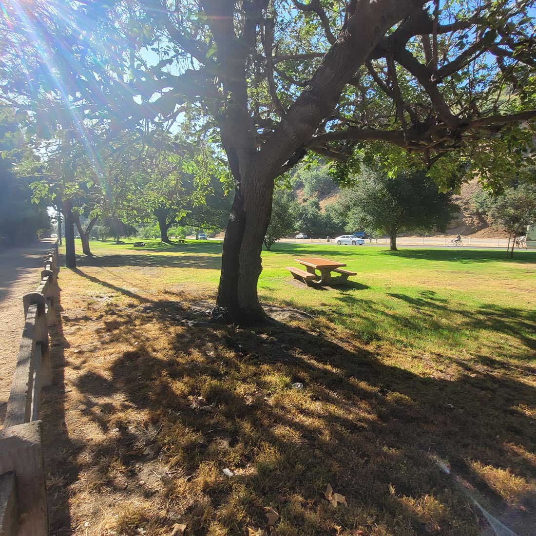 4F-Shaded-Picnic-Tables