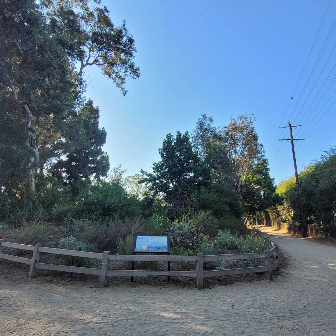 4R-Anza-Native-Garden