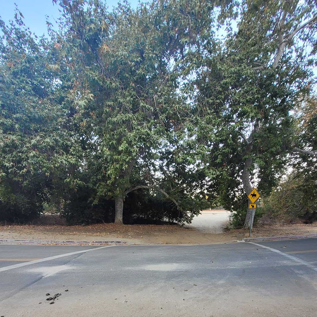 5B-GP-Drive-Crosswalk