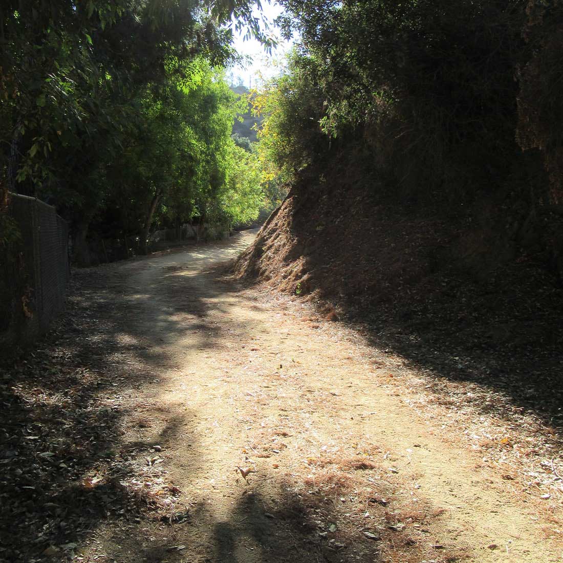 map-hike5-D 5G-Rattlesnake-Trail