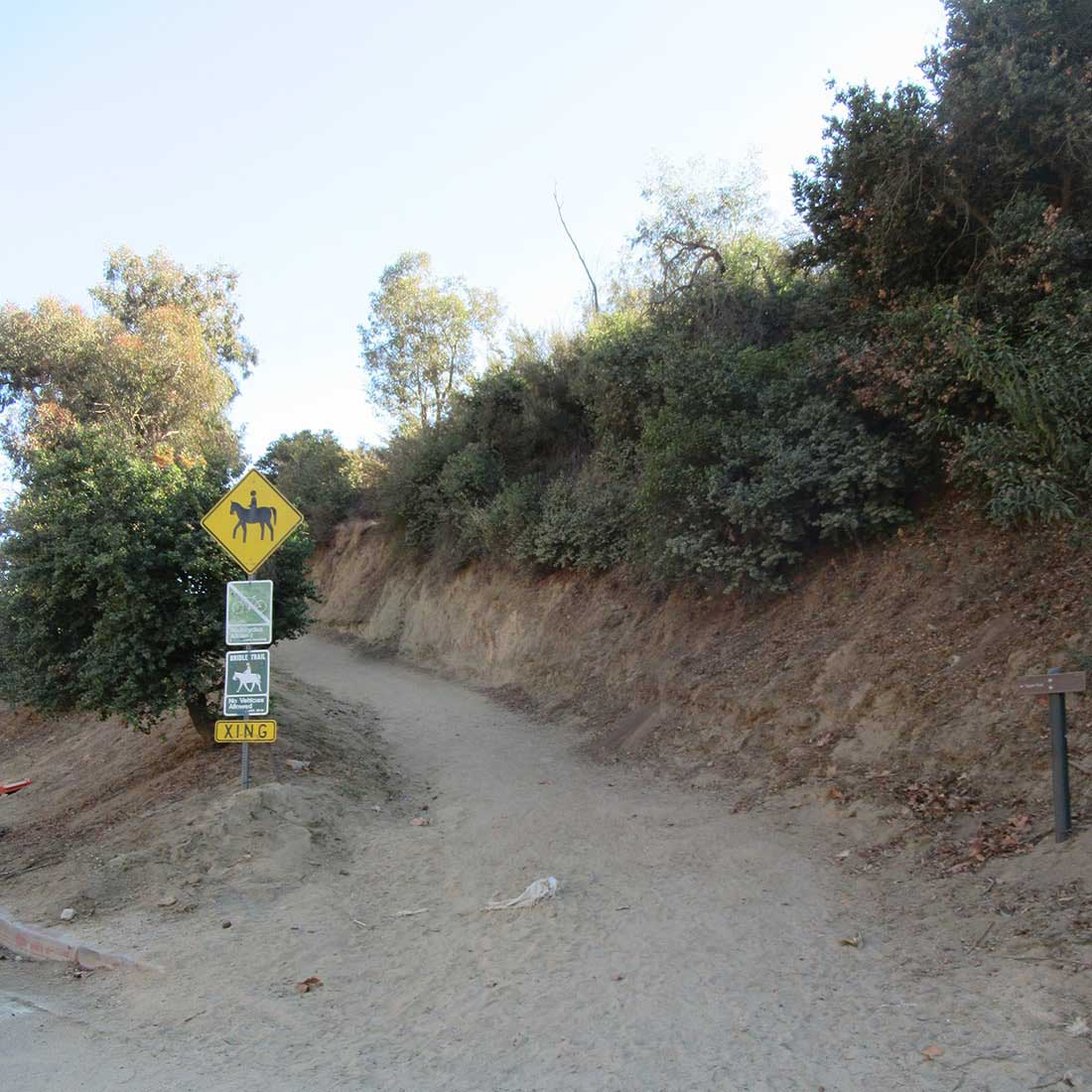 5Q-Mt-Hollywood-Dr-Junction