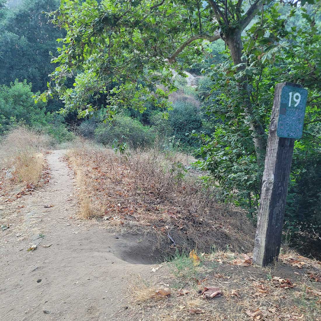 map-hike5-D 6E-Signpost-19