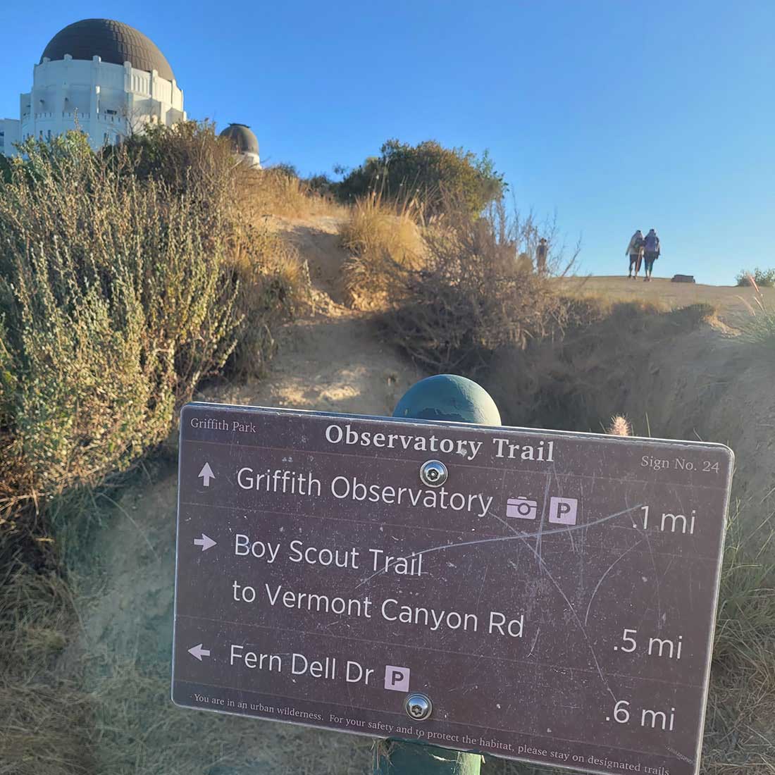 6J-ALT-Boy-Scout-Trail-Junction