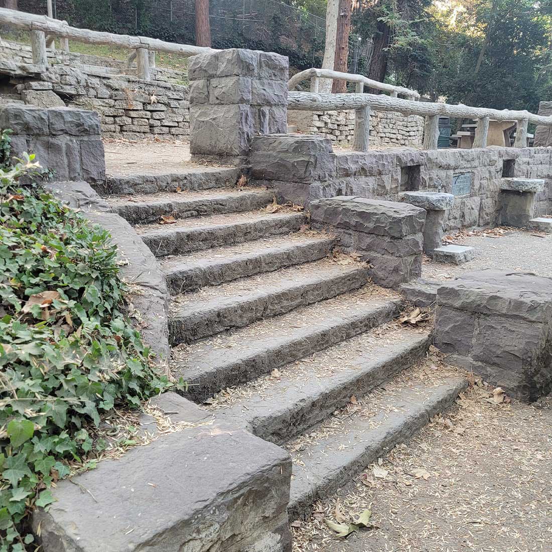 6O-Soroptimist-Picnic-Area