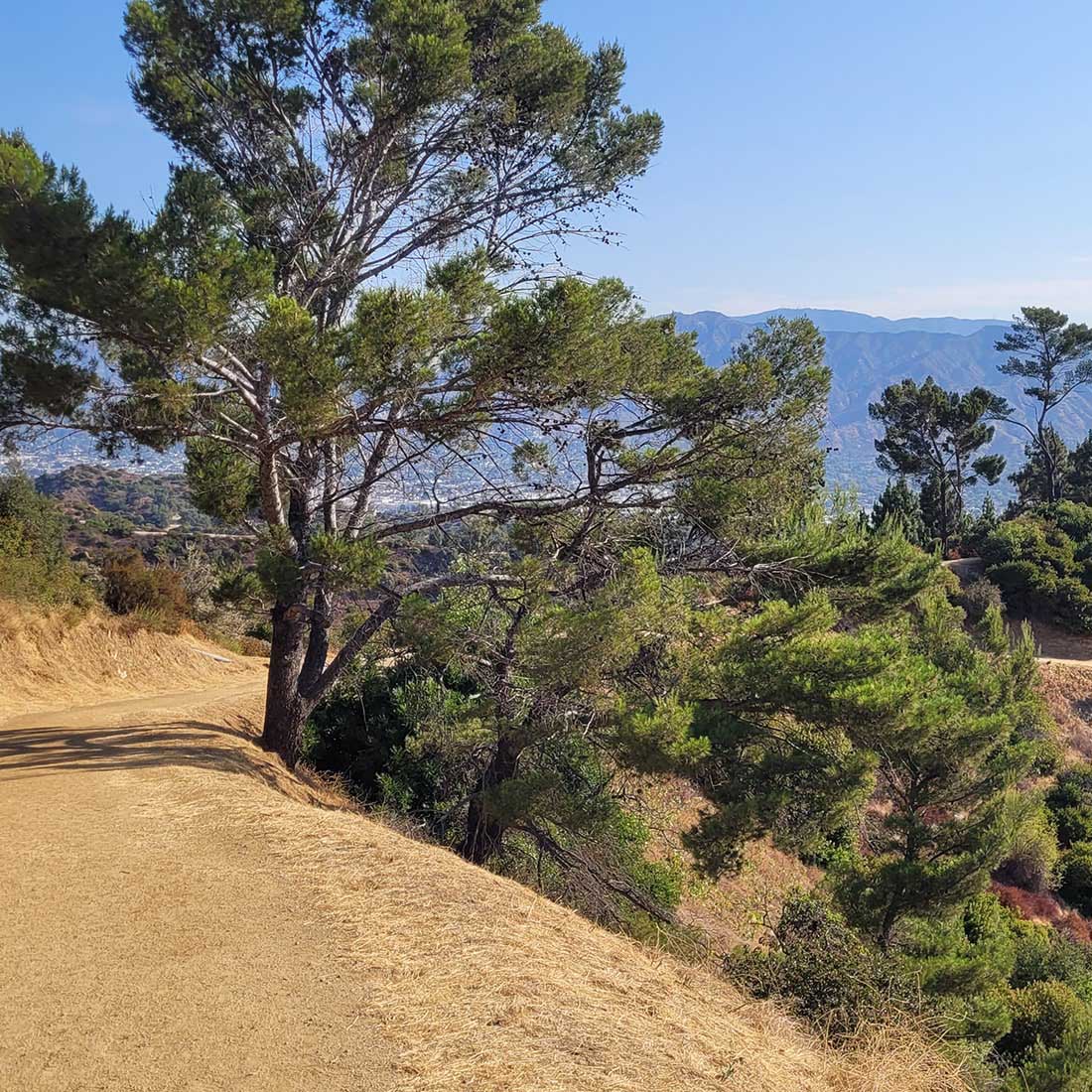 7H-Eckert-Trail-View