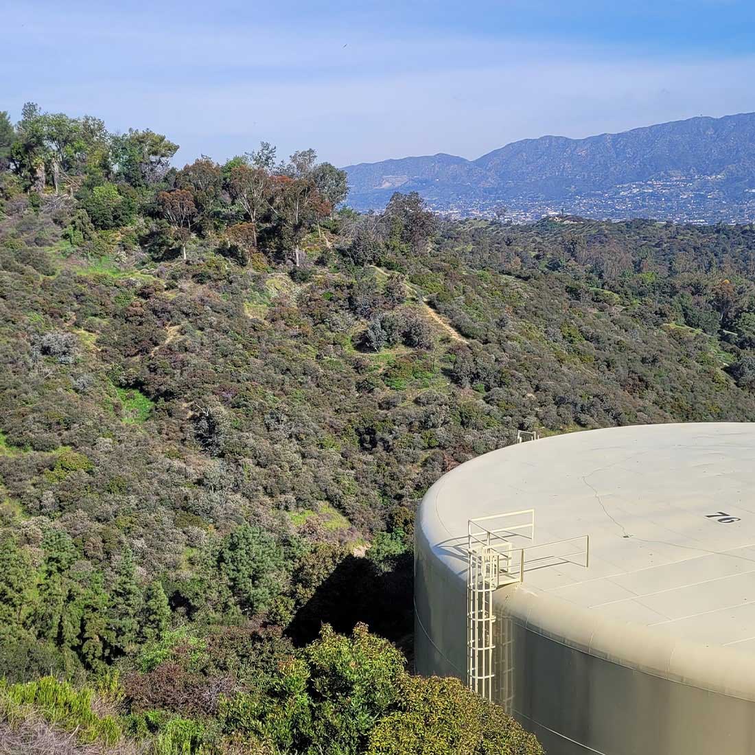 7I-Amirs-Garden-in-Distance