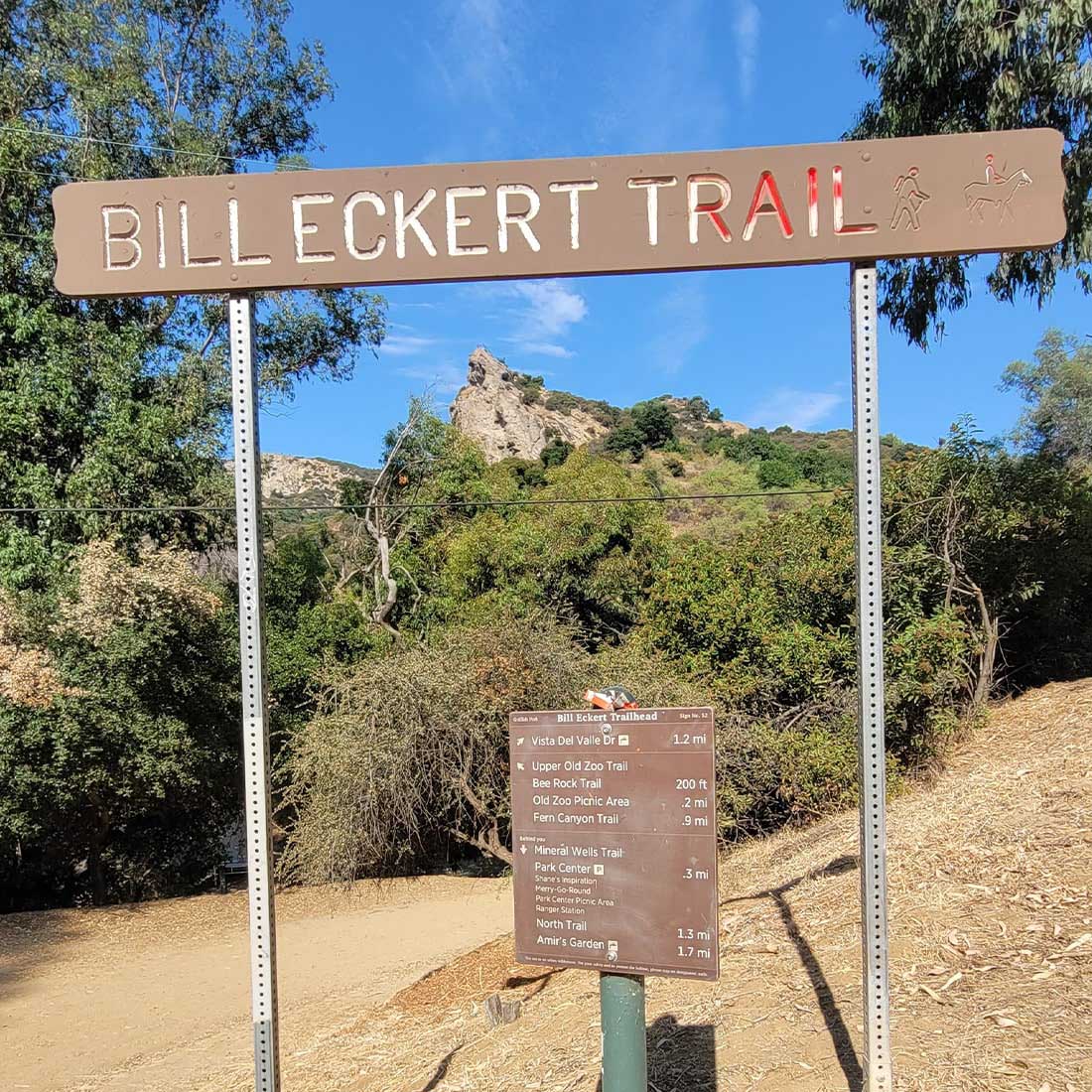 7L-Eckert-Bee-Rock-Selfie