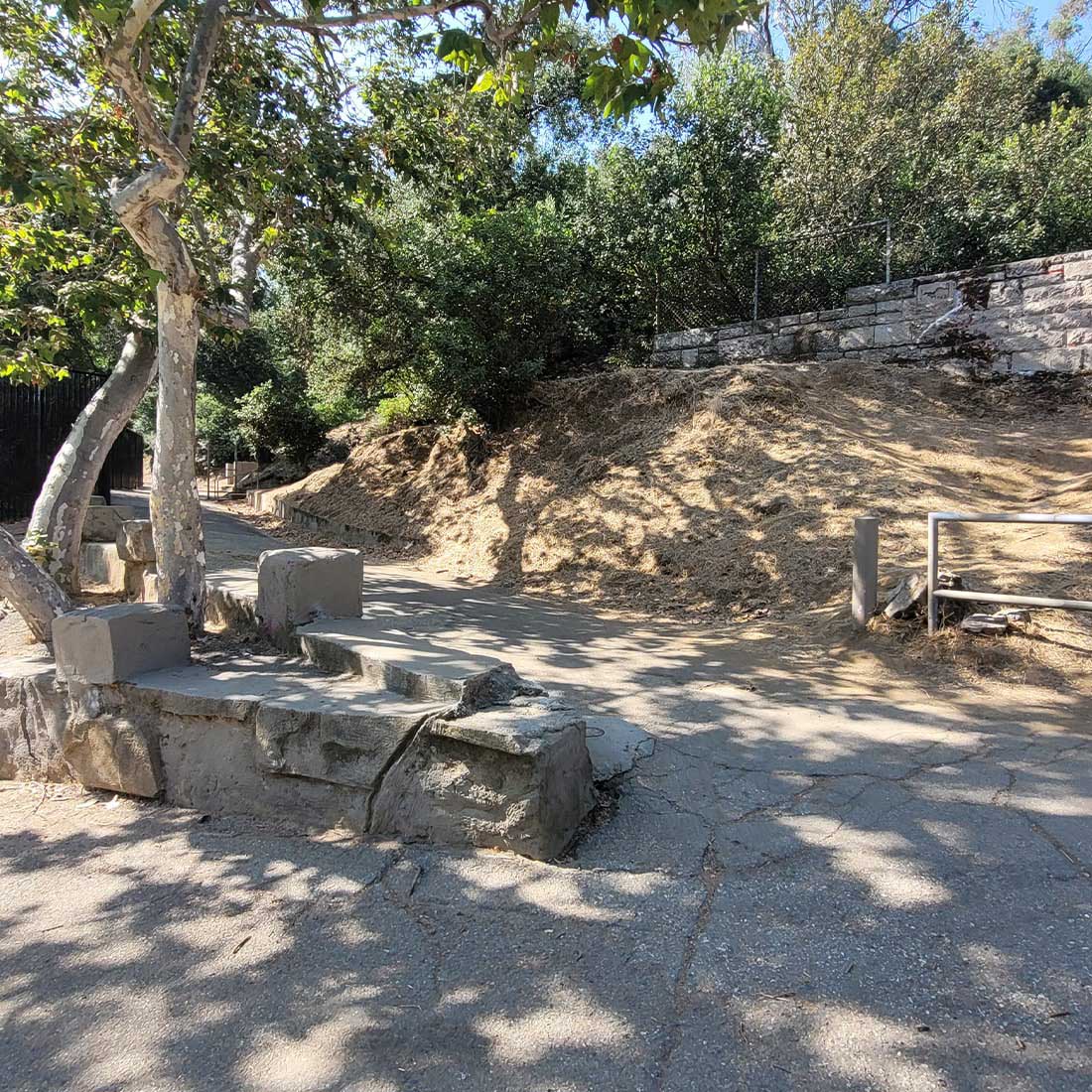 7P-Lower-Old-Zoo-Trail-Junction