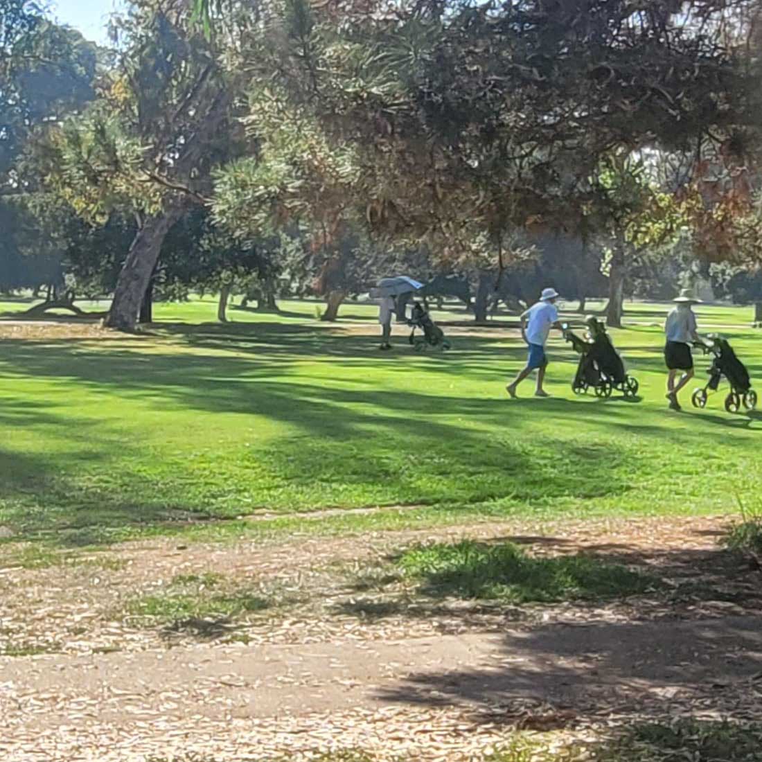 8B-Wilson-Harding-Golf-Course