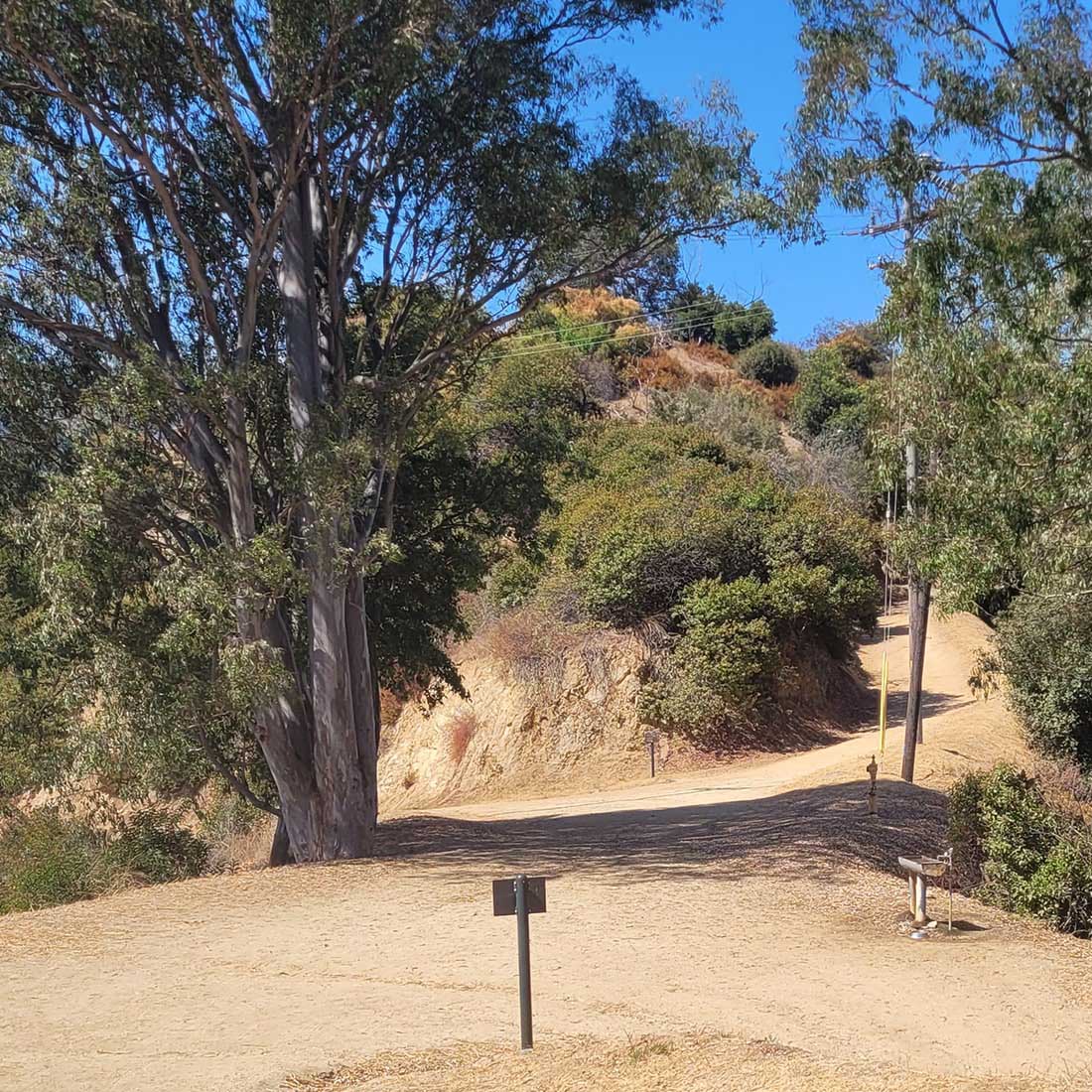 8M-Four-Trail-Intersection