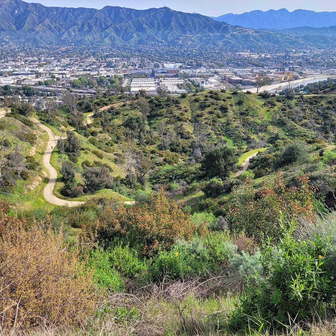 8P-Condor-Trail-Curves