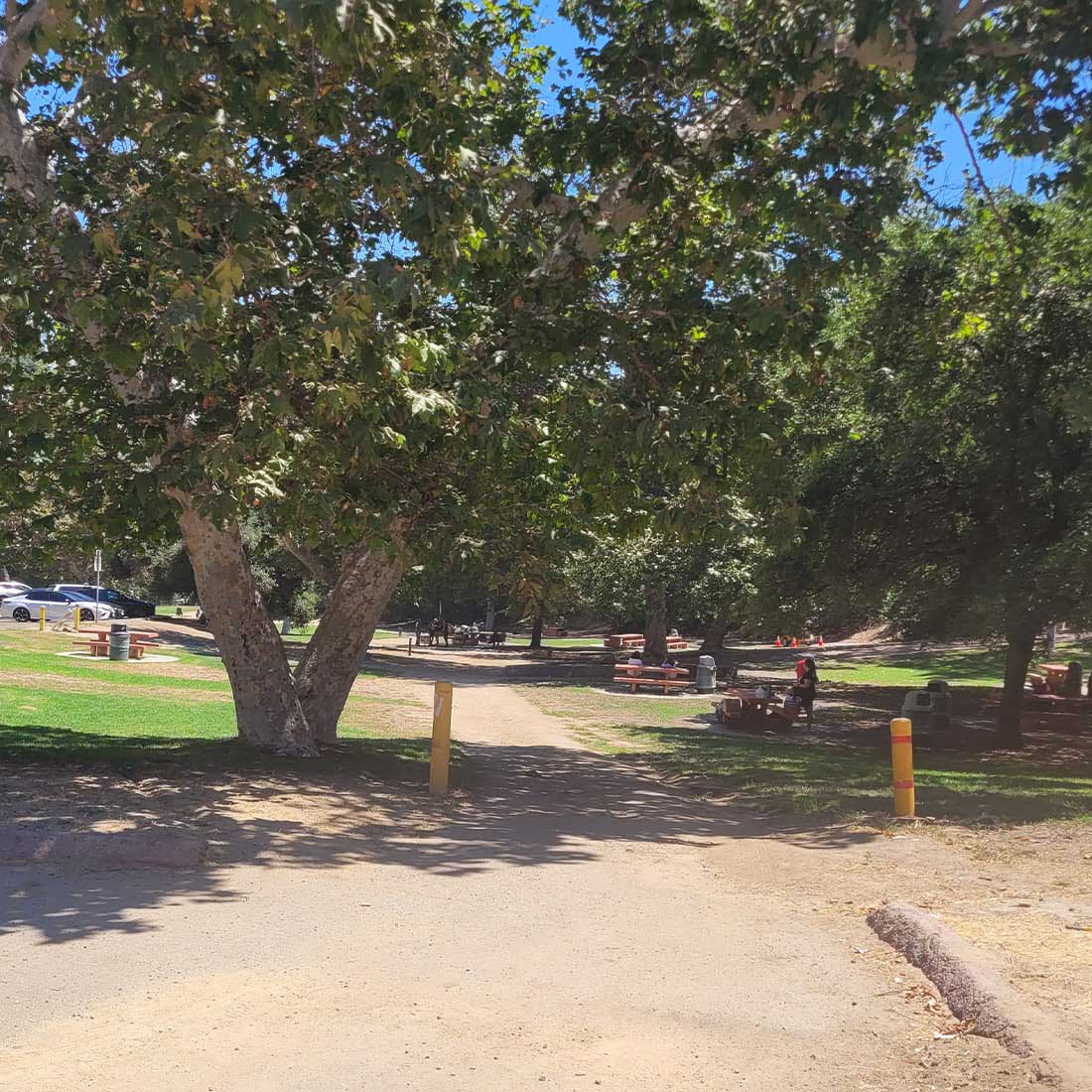 8W-Old-Zoo-Picnic-Area-Path