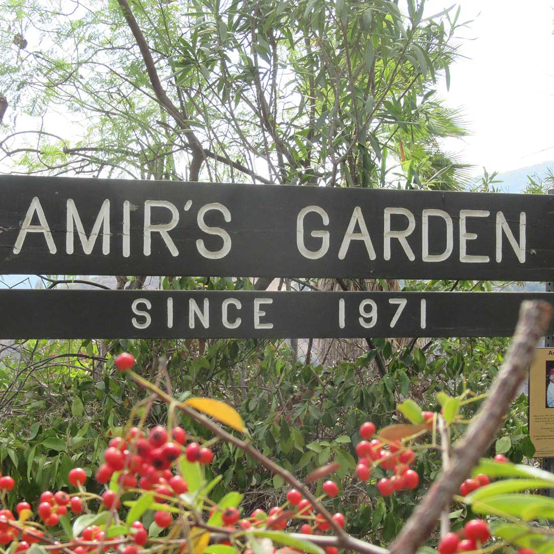 9B-Amirs-Garden