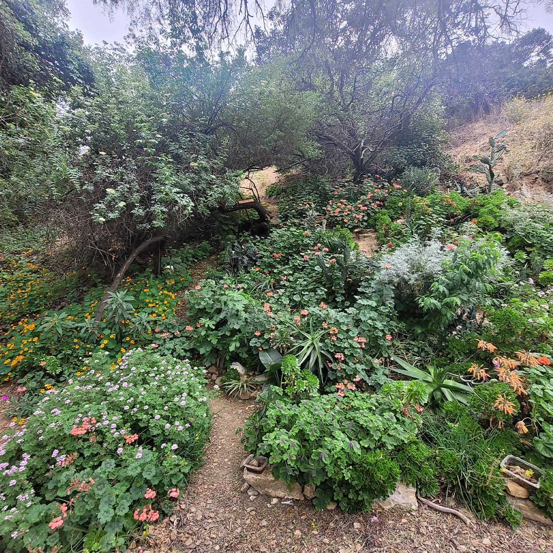 map-hike5-D 9G-El-Invernadero