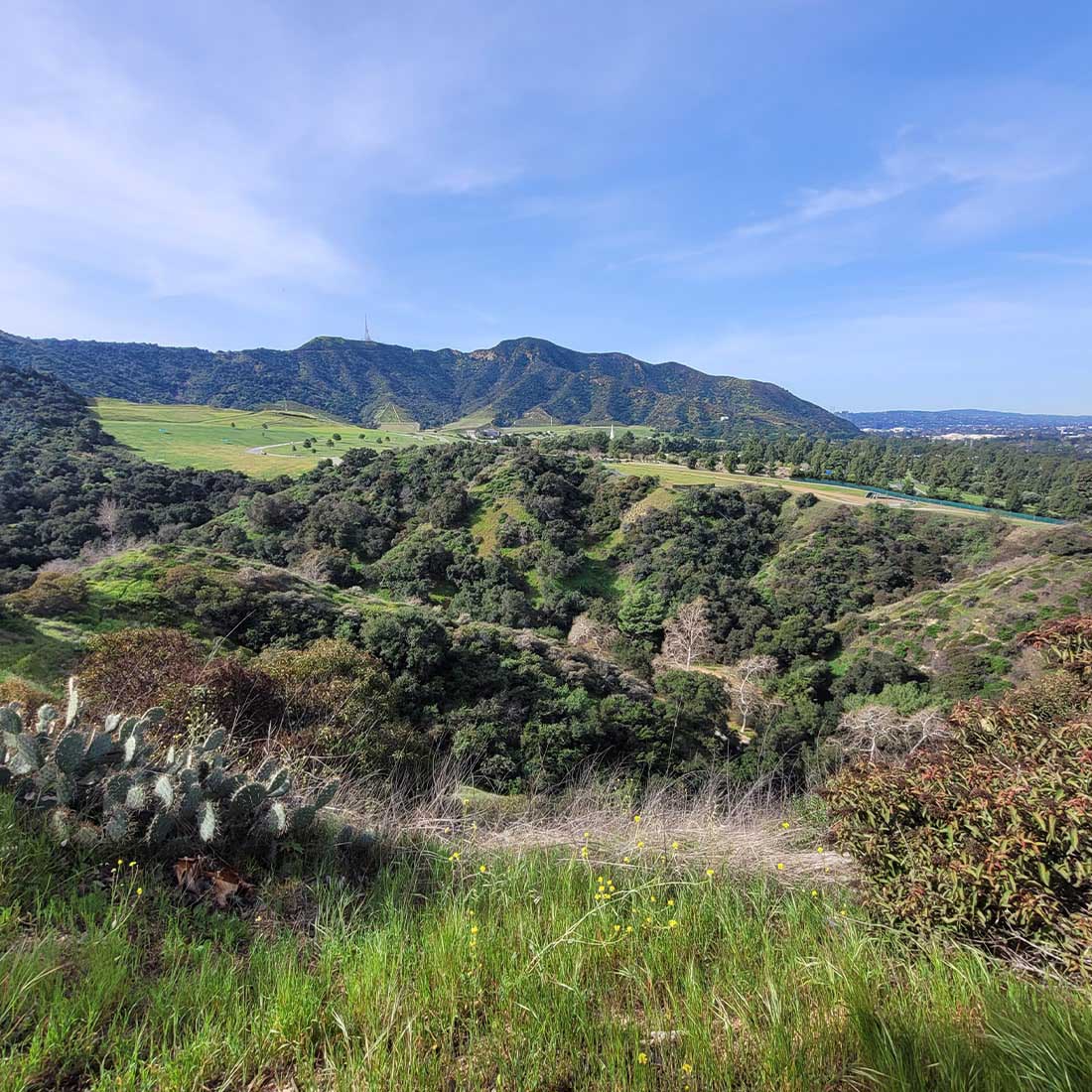 9L-View-West-from-Mt-Hollywood-Dr