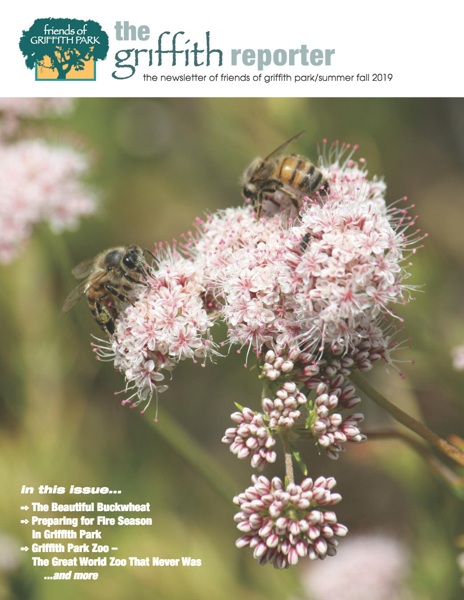 Griffith Reporter Summer 2019